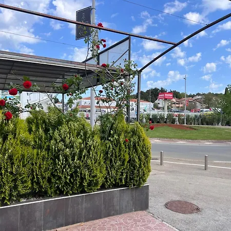 Rose Πανσιόν