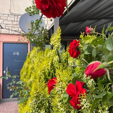 Rose 3* Πόρετς